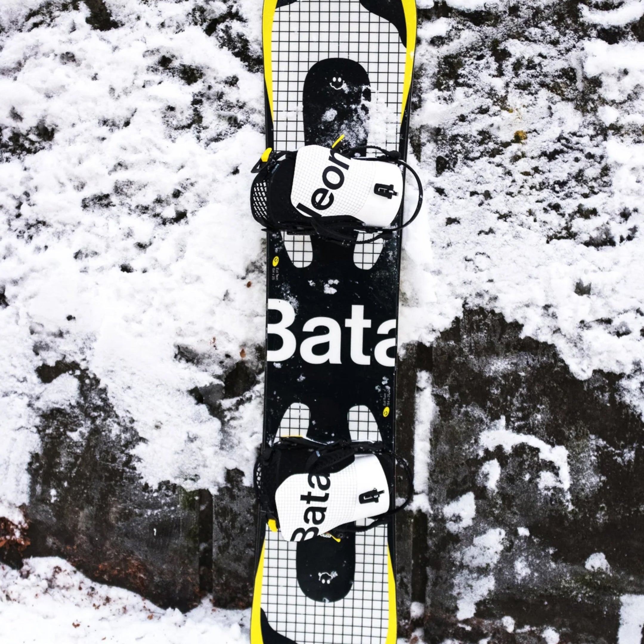 bataleon-evil twin-1