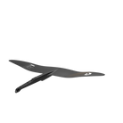 ca16373f.jpg