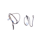 19e8520c.jpg