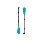 e36919e2.jpg