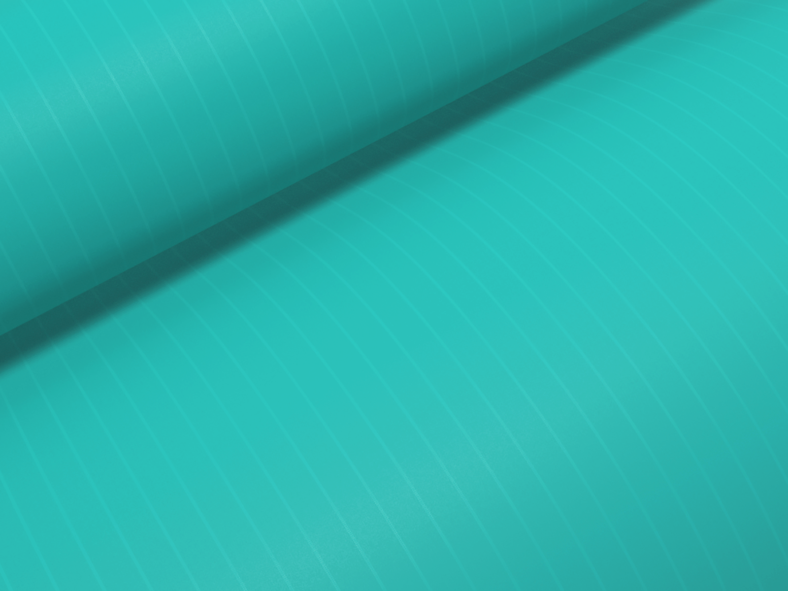 c49363e5.jpg