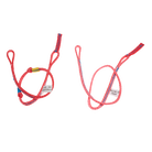 bfdbdc31.jpg