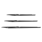 7364130e.jpg