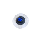 701d676c.jpg